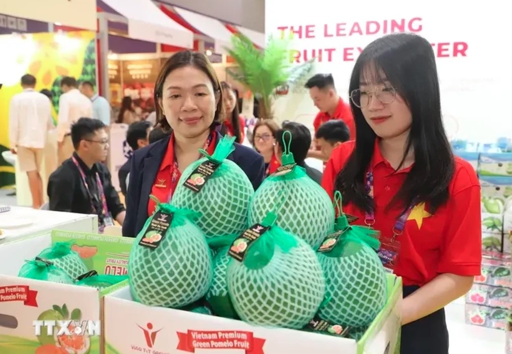 Vietnamese vegetables, fruits promoted at Asia Fruit Logistica